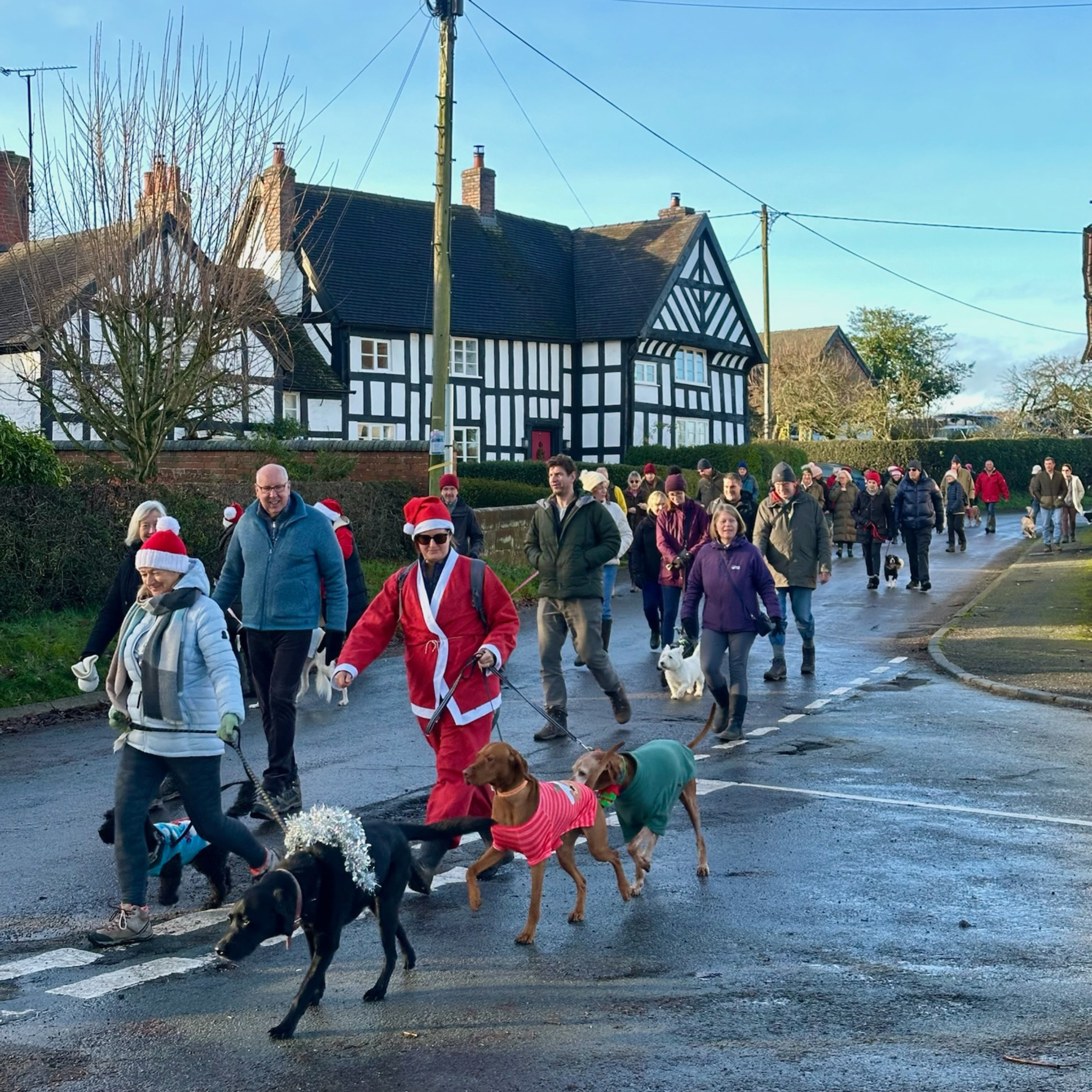 Swan Christmas Pub Walk 2026
