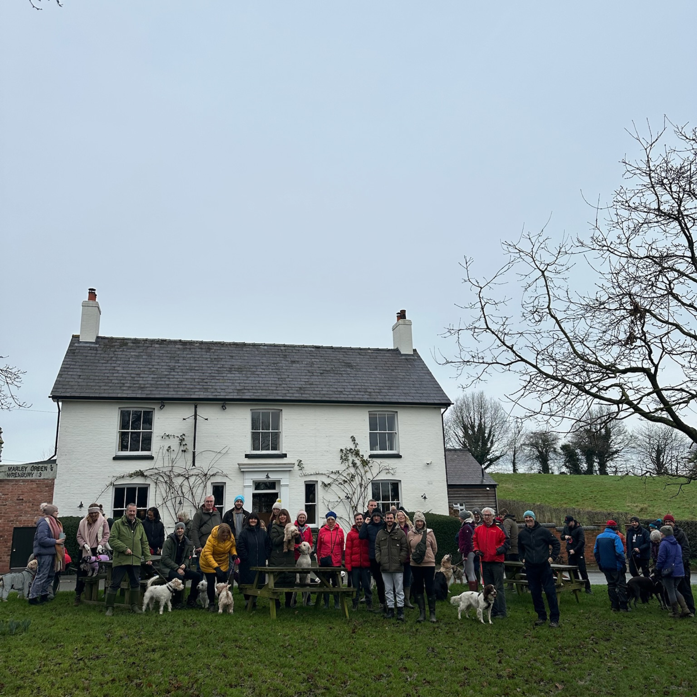 Swan New Year's Pub Walk 2026